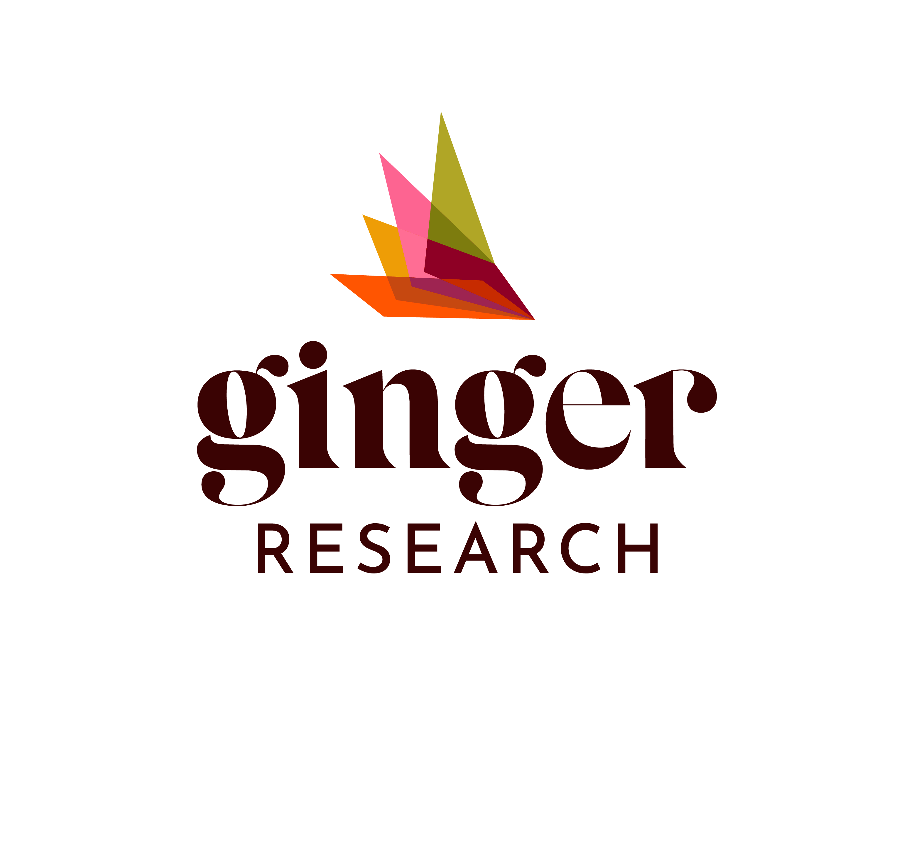 Ginger Research logo image